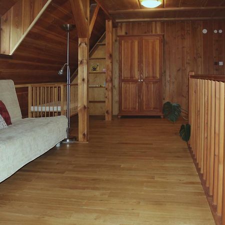 Apartman Ve Skanzenu Třebechovice pod Orebem Εξωτερικό φωτογραφία