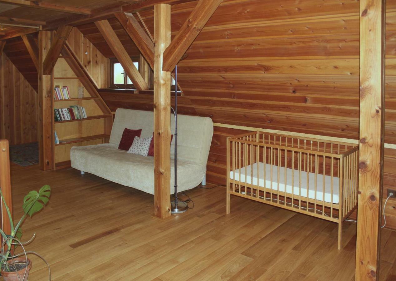 Apartman Ve Skanzenu Třebechovice pod Orebem Εξωτερικό φωτογραφία